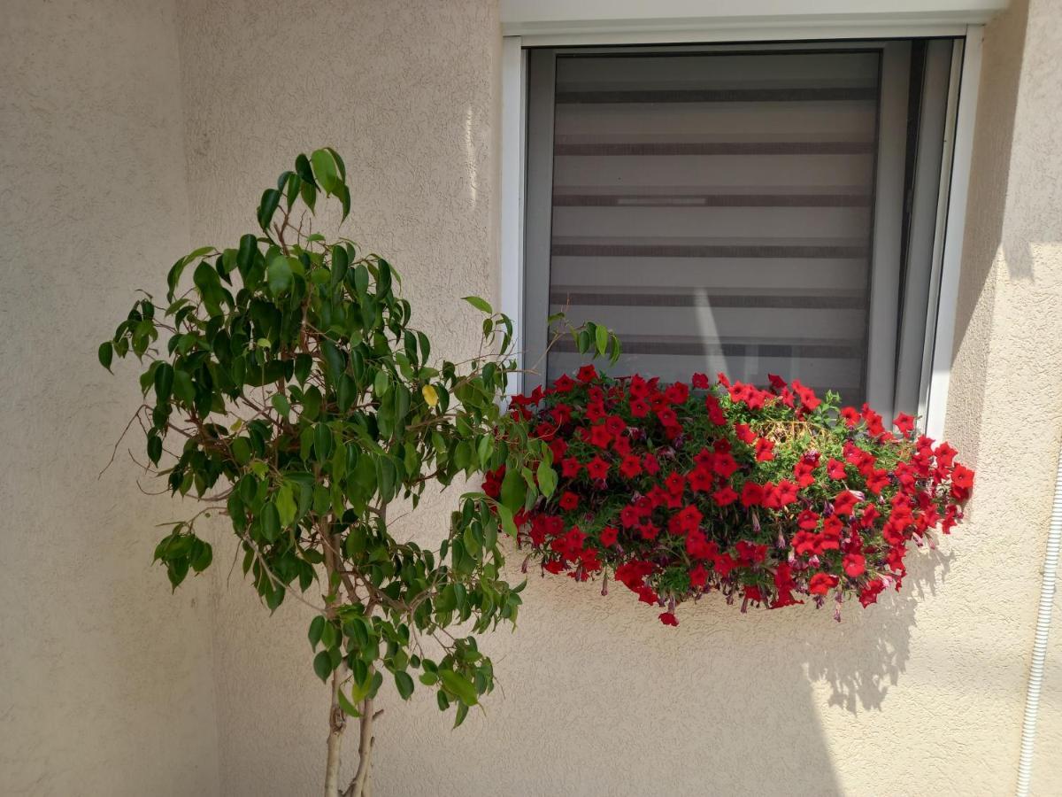 Leda Apartmani Smederevo Exterior photo