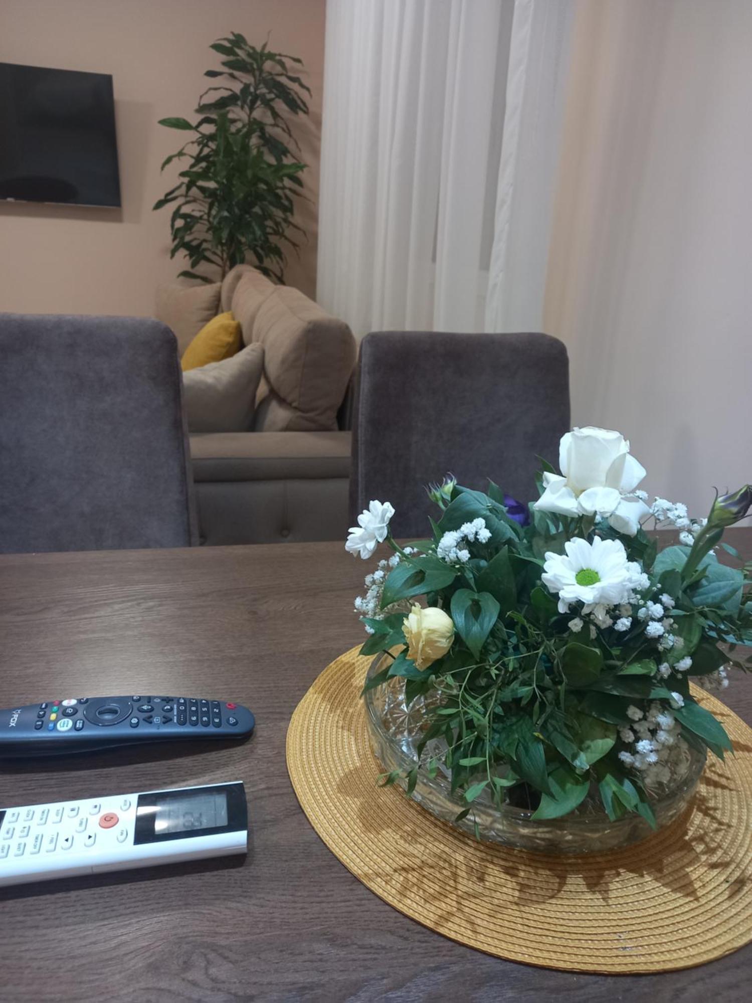 Leda Apartmani Smederevo Room photo
